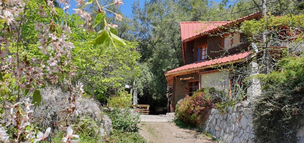 Casa De Montana Inmersa En Bosque Nativo San José de Maipo エクステリア 写真